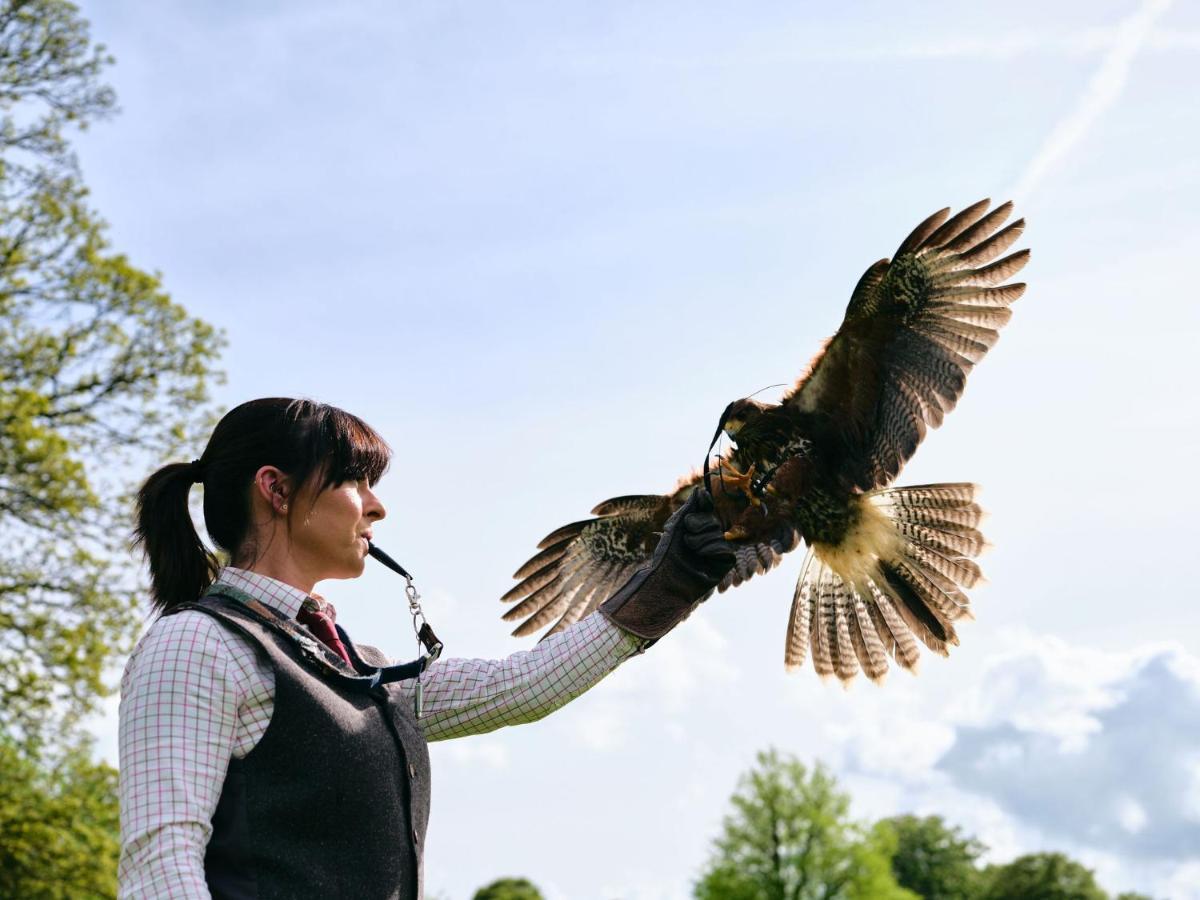 Hotel Lyrath Estate Kilkenny Exterior foto A falconer with a great horned owl
